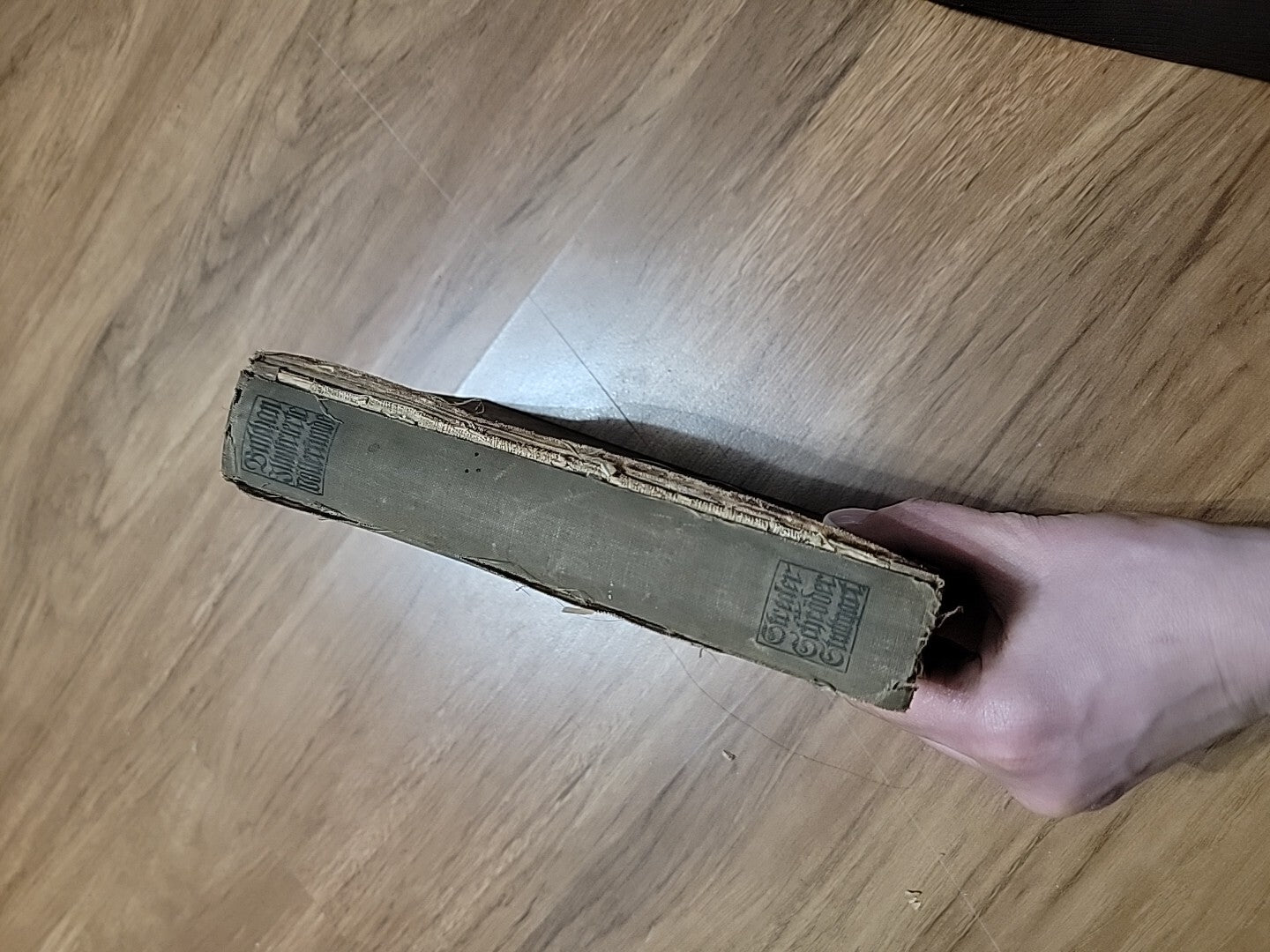 1910, Das Nibelunglied Ãœbertragen von Karl Simrock. German Book Rare  ILLUSTR
